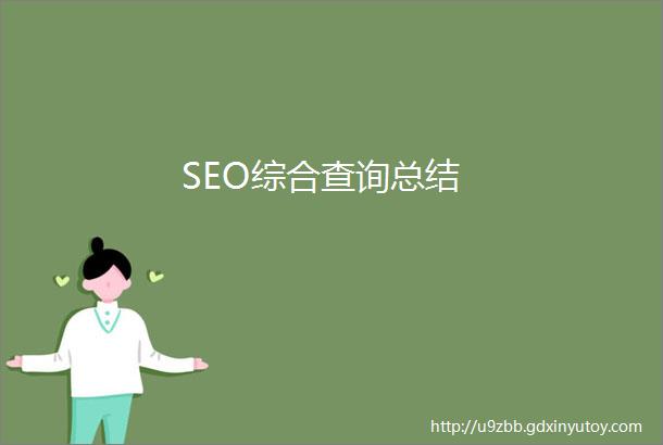 SEO综合查询总结